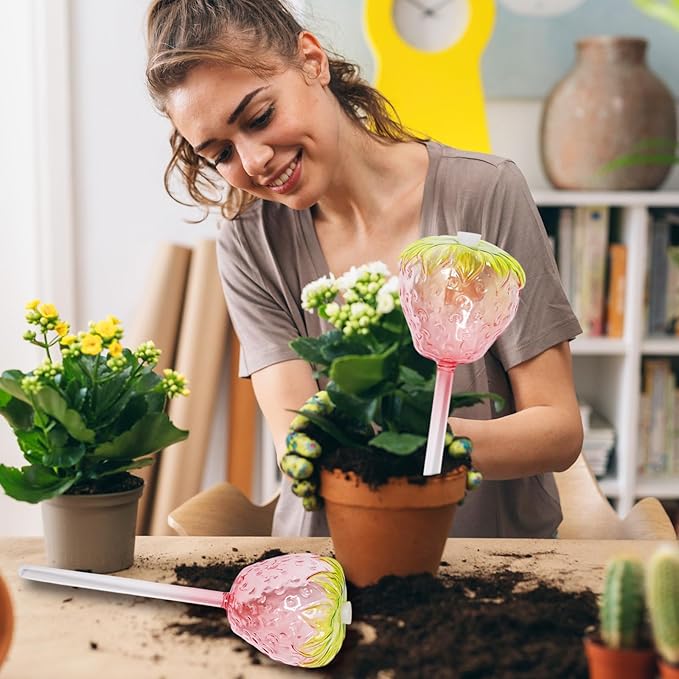 Plant Accessories & Supplies