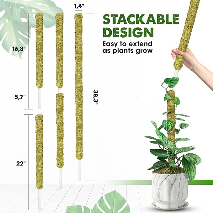 Plant Supports & Structures