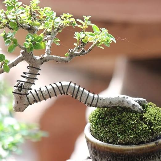 Sanlykate Bonsai Training Wire Kit, 9 Roll Tree Training Wires 295.27 Feet Total, 1.0mm, 1.5mm, 2.0mm Anodized Aluminum Wire Set, Hold Plant Branches Trunks - Black