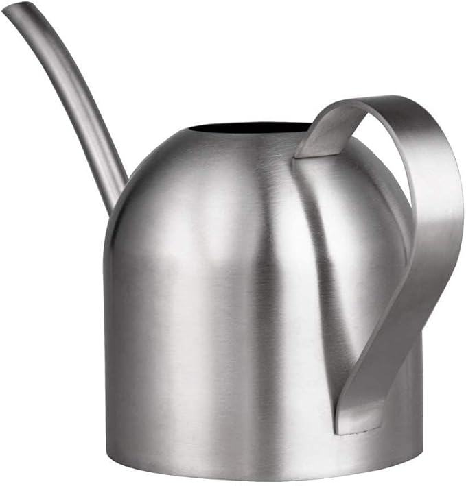 IMEEA Indoor Watering Can for House Plants Stainless Steel Watering Can Metal with Long Spout (33oz/1L)