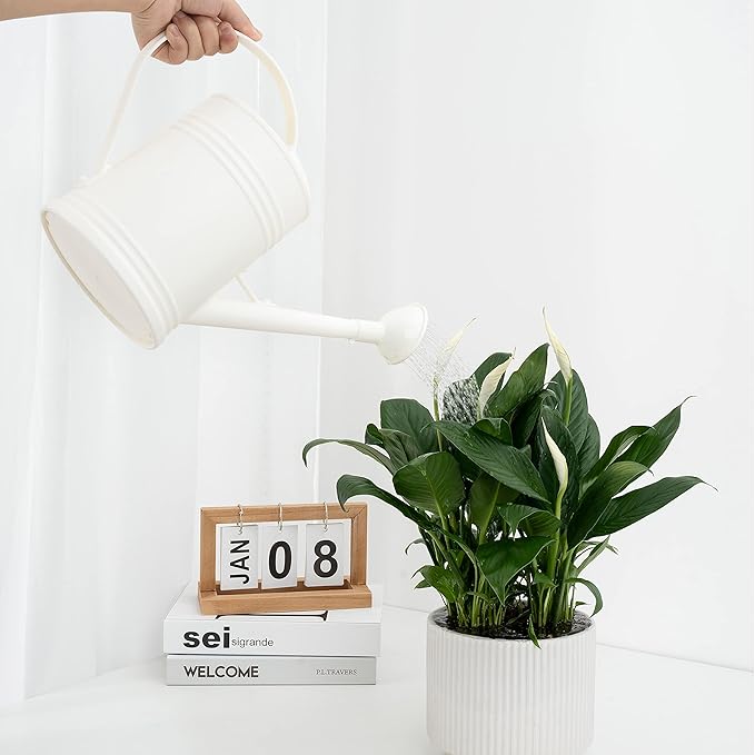 Plastic Indoor Watering Can with Sprinkler Head - 68 oz, 1/2 Gallon