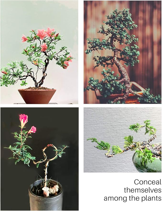 MoHern Bonsai Wire and Bonsai Tool Kit, Total 164 Feet Bonsai Tree Wire for Bonzai Trees Indoor, Size of 1-mm, 1.5-mm, 2-mm Aluminum Wire