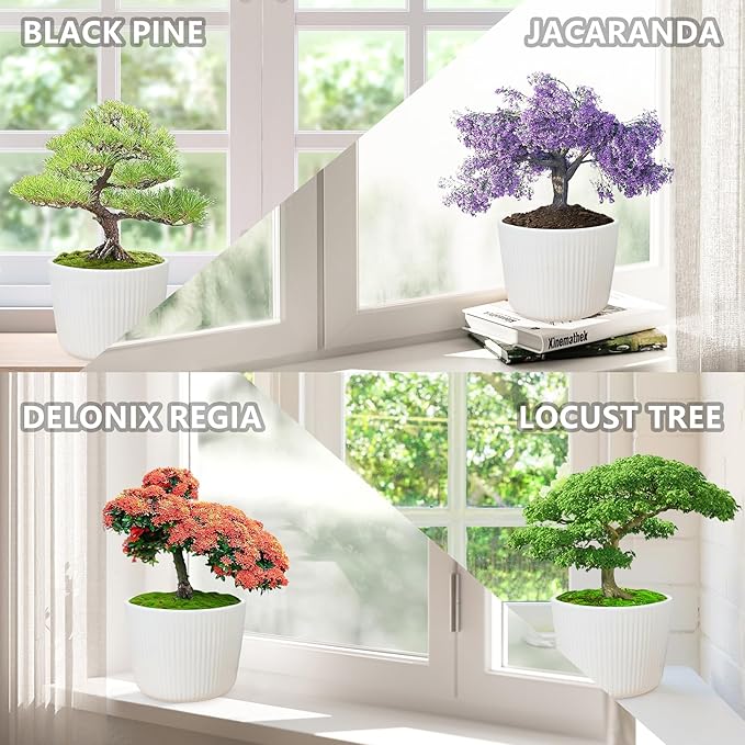 Bonsai Tree Kit – DIY Japanese Bonzai Trees with All-in-One Indoor Plant Growing Tools & Planters – Unique Gardening Gifts for Women, Men & Kids