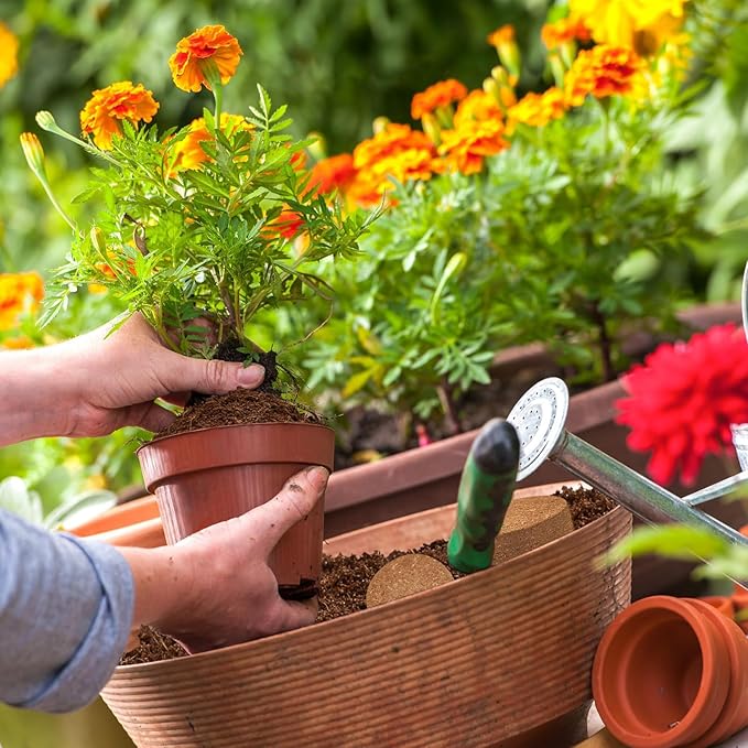 ZeeDix 100 Pcs 40mm Organic Coco Coir Pellets, Compressed Coconut Coir Seed Starter Expanding Soil Discs Potting Soil Dirt Pellets for Planting Bonsai, Herbs, Plants, Flowers and Vegetables