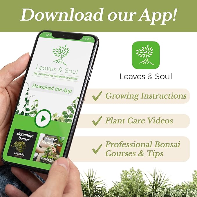 Professional Aloe Plant Soil | Premium All Purpose Blend | Large 2.2 Quarts | Ready to Use for Aloe, Cactus, Succulent Plants | Pinebark, Peat, Course Sand | Made in USA