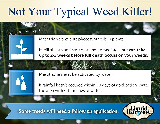 Mesotrione - 16 Ounces - (Compare to Tenacity) - Turf Herbicide