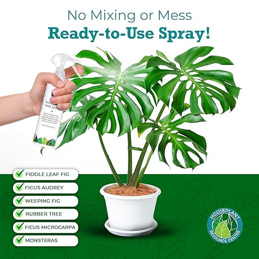 Leaf Armor Spray for Houseplants – Protects Against Fungal Leaf Spots, Bacteria, Pathogens & Yellowing | Gentle & Natural Phosphite Formula | Ready-to-Use | Made in USA – 8 oz
