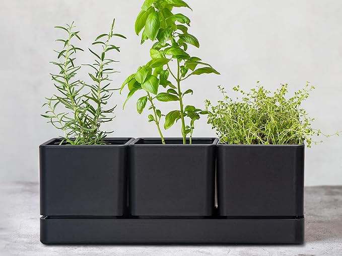 D'vine Dev Herb Garden Planter Set, Plastic Plant Pots with Drainage and Saucer, Indoor Succulent Cactus Vegetable Pot for Windowsill, Garden Balcony, Black, Set of 2, 76-V-B-2