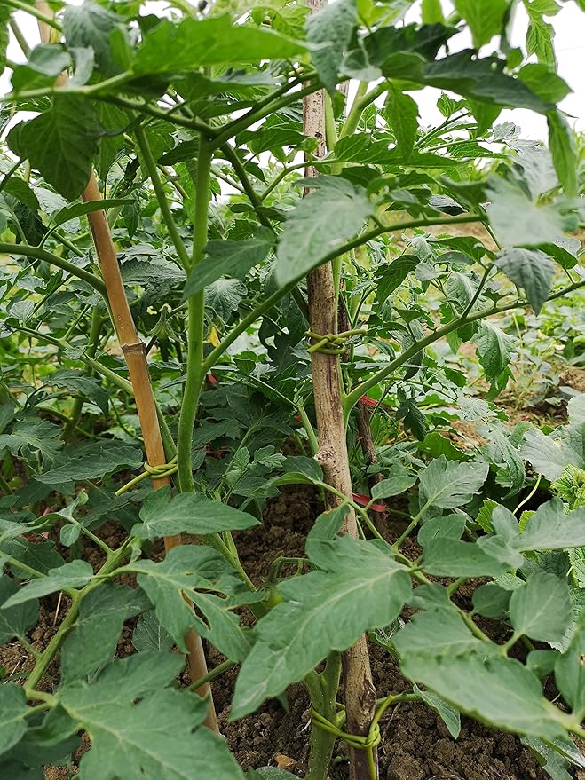 TIPU Soft Rubber Garden Rope Twine, Soft Hollow Stretchy Plant Support and Garden Twine, Green, 262 FT