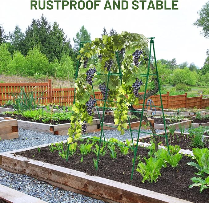 Large A-Frame Garden Trellis for Tomatoes, Cucumbers & Heavy Climbing Plants - Rust-Resistant, Heavy-Duty Steel, Perfect for Outdoor Gardens & Vertical Gardening(47" W x 63" H)