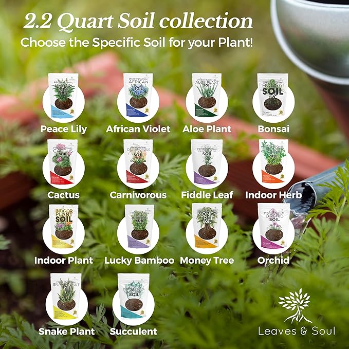 Fiddle Leaf Fig House Plant Soil Premium All Purpose Blend | Large 2.2 Quarts | Ready to Use for Indoor Houseplants | Peat, Sawdust, Course Sand and Pinebark | Made in USA